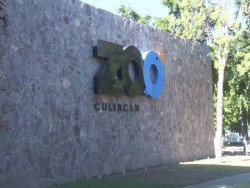 Cierra bien el 2019 el Zoológico de Culiacán