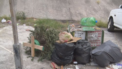 Empiezan a aparecer en las calles árboles de navidad