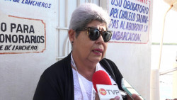 Pide el IMMUJER un 'alto a la violencia' contra la mujer