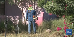 No hay aumentos en terrenos para uso inmediato en Panteones Municipales