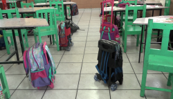 Detectan drogas y armas en escuelas secundarias de Mazatlán