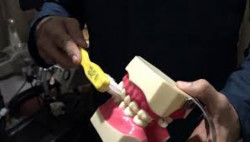 Se debe fomentar el hábito del cepillado de dientes