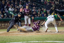 Tomateros toma ventaja en la serie ante Cañeros