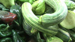 Sube el kilo de calabaza a $70.00