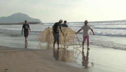 Caminan en Mazatlán las "Bestias" de Theo Jansen