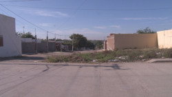 Basura se apodera de la calle Rafael Martínez