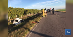 Trágico accidente en el Valle del Yaqui