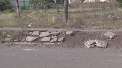 Área verde llena de maleza en Las Glorias