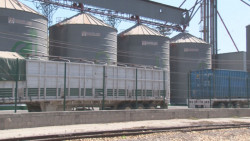 Solicitarán Diputados federales que Gobierno federal cumpla los compromisos con productores de Sinaloa