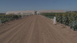 La ExpoAgro Sinaloa 2020 no será plataforma para que se realicen reclamos contra el Gobierno