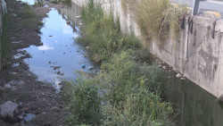 Así luce el arroyo en Zona Dorada