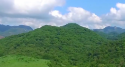Recibe CONSELVA donativo que será destinado a reforestación