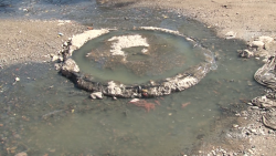 Fuga de aguas negras desemboca en canal pluvial