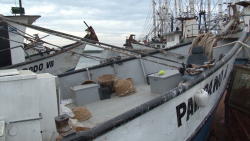 Crece el índice de desempleo en la pesca
