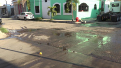 Llevan ocho meses con un fétido problema en la Jacarandas