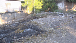 Arroyo con basura en la Lázaro Cárdenas