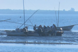 Gobierno de Sinaloa está apoyando a pescadores