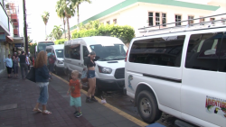 Este año ha sido favorable para los guías de turistas