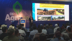 Sinaloa con altas posibilidades de dar valor agregado a su producción agrícola y hortícola