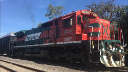 Accidente ferroviario, deja sin dedos a un hombre