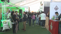 Califican como exitosa la edición 2020 de la ExpoAgro Sinaloa