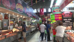 Sin proyecto inicia habilitación para rescate del Pino Suárez