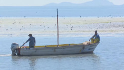 Apoya la Secretaría de Pesca  a jóvenes con adicción en campos pesqueros