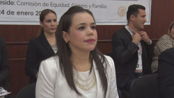 Sin acuerdo en dictamen de ratificación de la titular de ISMUJERES