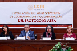 Más de 30 organizaciones conforman el protocolo Alba