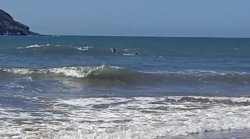 Rescate masivo en Zona Dorada