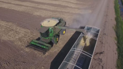 Exhorta la Secretaría de Agricultura no malbaratar la producción de frijol de Sinaloa