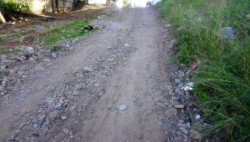 Piden raspar la calle Tulipán
