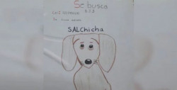 ¡Justo en el cora!: Niño busca a su mascota con un dibujo realizado por el