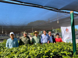SEDESU entrega 5 mil Apomos para reforestar las cuencas hidrológicas en la sierra de Sinaloa