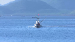 Defraudados los pescadores por la eliminación de programas y apoyos federales
