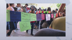 Avala CEPAVIF manifestaciones en contra del acoso