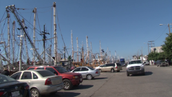 ¡Gritos desesperados de pescadores! exigen ser escuchados