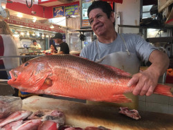 Pescaderos esperan repunte en ventas de mariscos