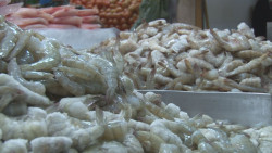 Sin precio establecido pescados y mariscos