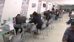 Aprovechan descuento del 55%