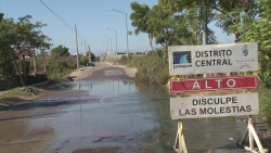 Conviven en un río de aguas pestilentes