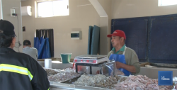 Por Cuaresma, se incrementa la venta en pescaderías