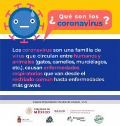 ¿Qué es el Coronavirus?