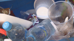 Pide la Intercamaral modificar Ley de Residuos para anexar la separación de basura de origen