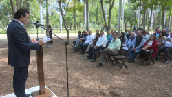 Rinden informe del jardín botánico