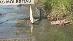 Atenderá JUMAPAM fuga de aguas negras en Ampliación Villa Verde