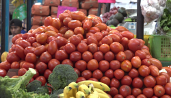 En $30 el kilogramo de tomate