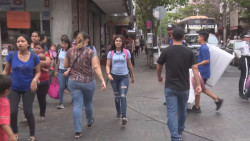 Abre el PRI convocatoria para que jóvenes participen con proyectos de emprendedores