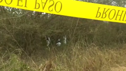 Localizan fosa clandestina en Mazatlán