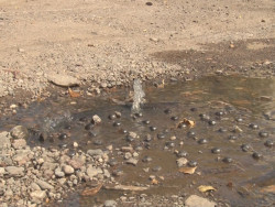 Calle Hilario Medina con muchos baches y fuga de drenaje
